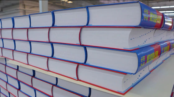 3ph napięcia podwójny system głębokiego składowania palet dla ciężkich urządzeń magazynowych